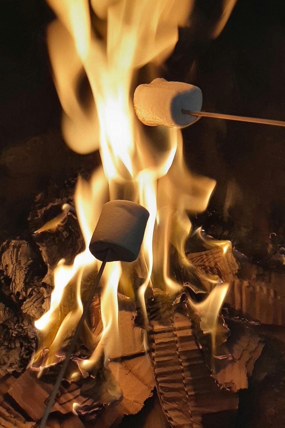 Bonfire and Marshmallow Roast